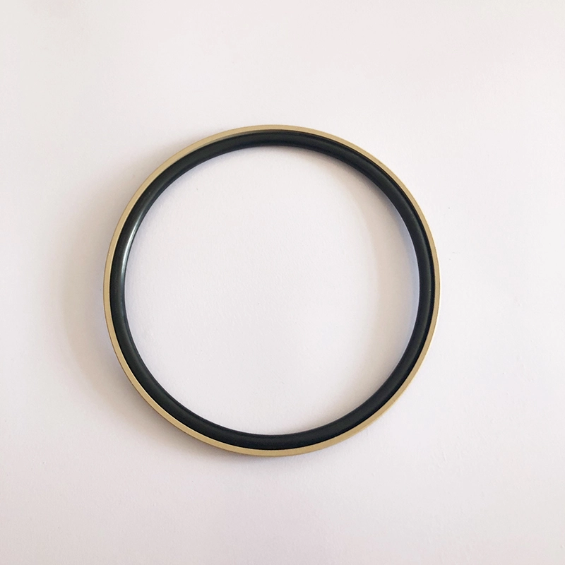 Hydraulic Seals For Piston Holes