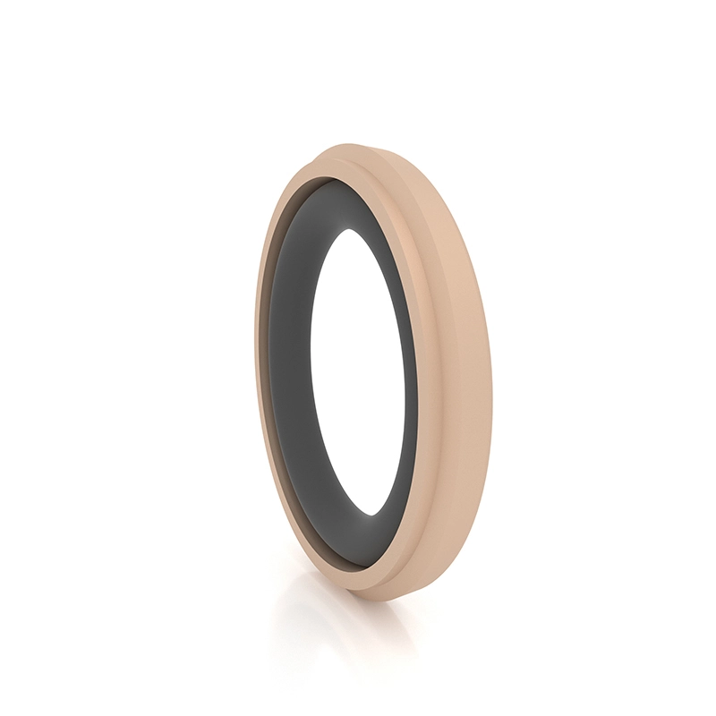Hydraulic Seals For Piston Holes