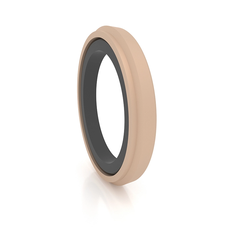 Hydraulic Seals For Piston Holes