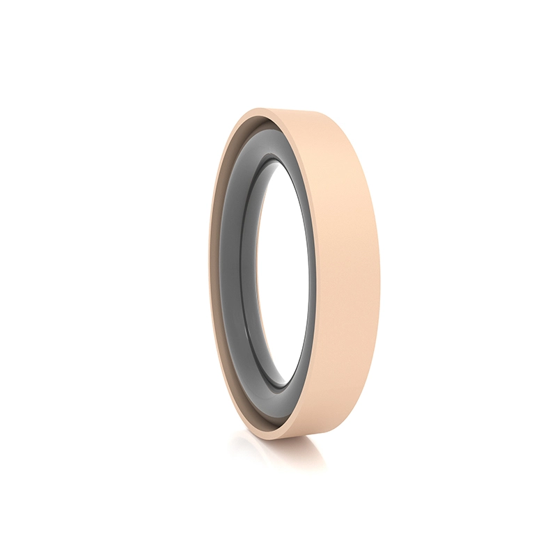Hydraulic Seals For Piston Holes