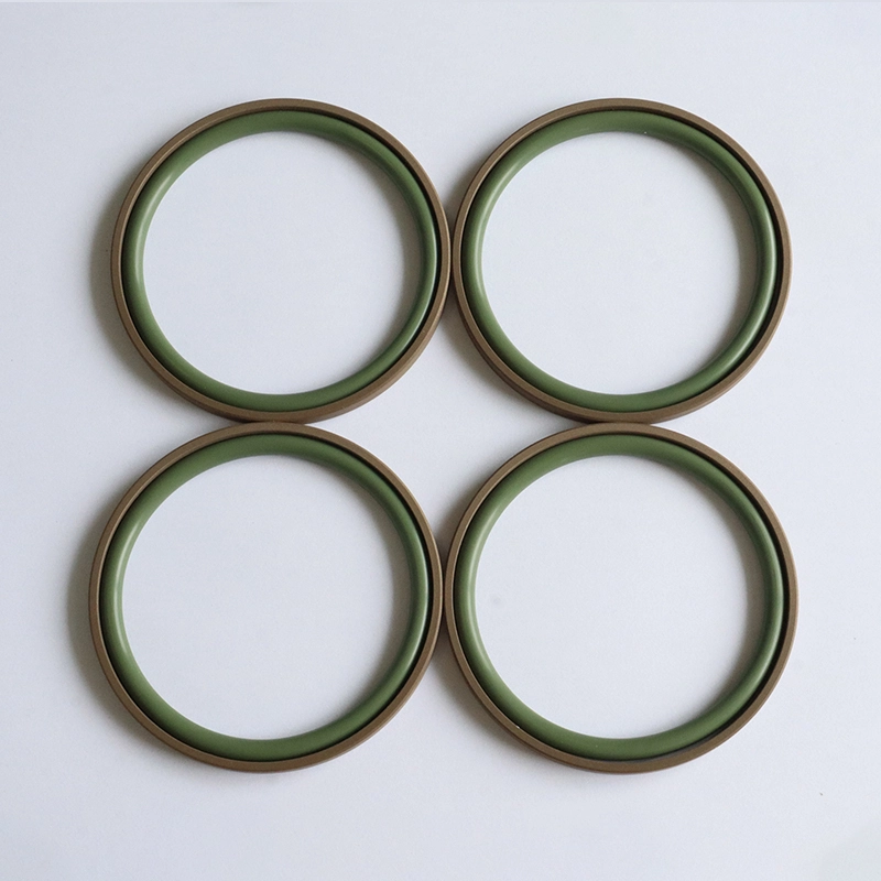 Hydraulic Seals For Piston Holes