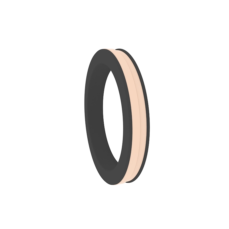 Hydraulic Seals For Piston Holes