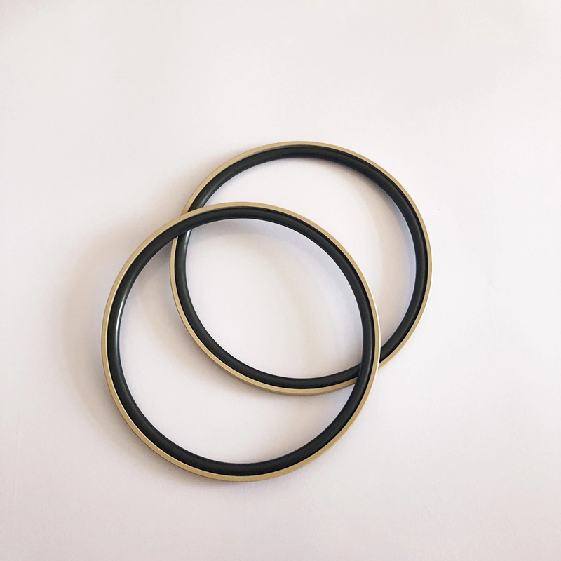 Hydraulic Seals For Piston Holes