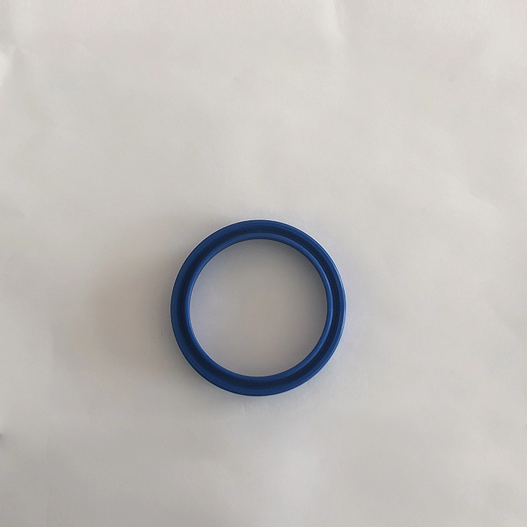 Hydraulic Seals For Piston Holes