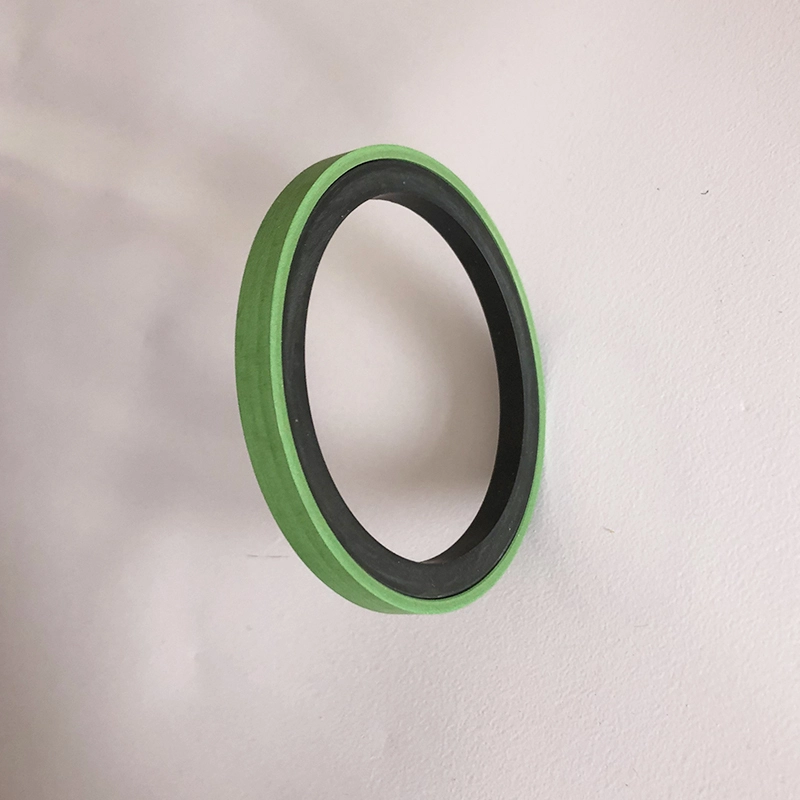 Hydraulic Seals For Piston Holes