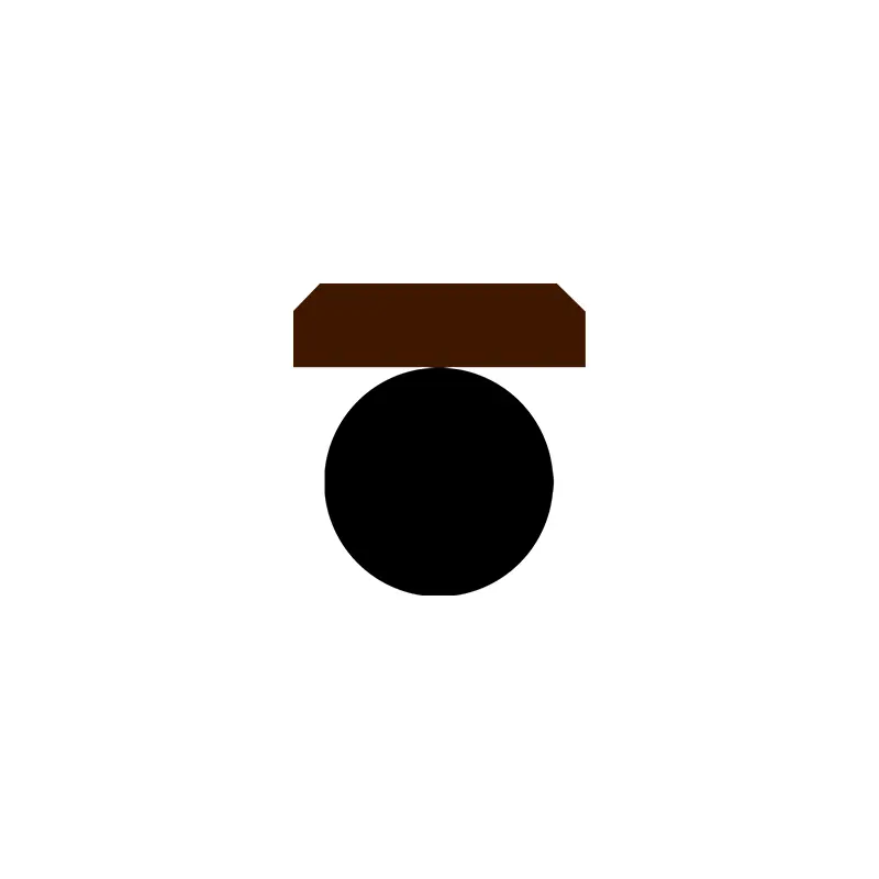 Hydraulic Seals For Piston Holes