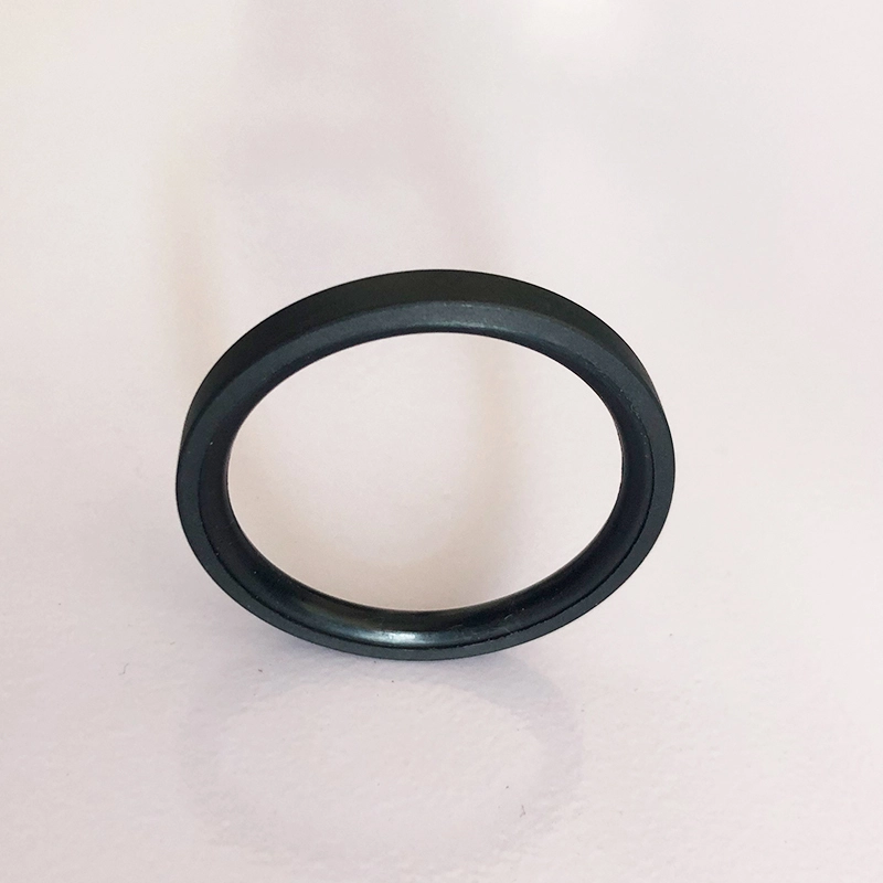 Hydraulic Seals For Piston Holes