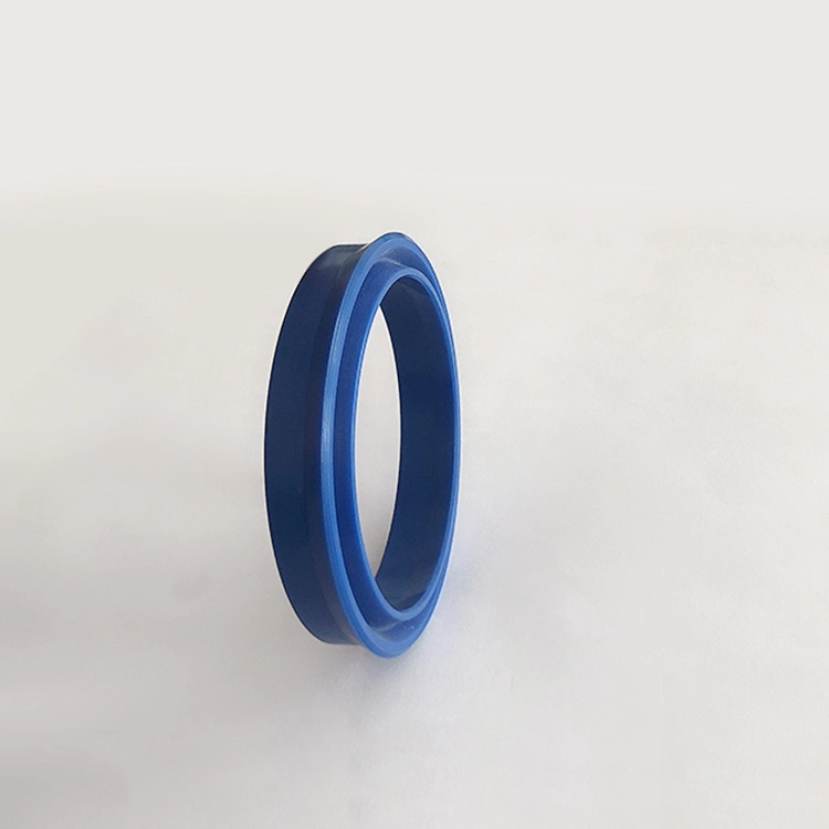 Hydraulic Seals For Piston Holes