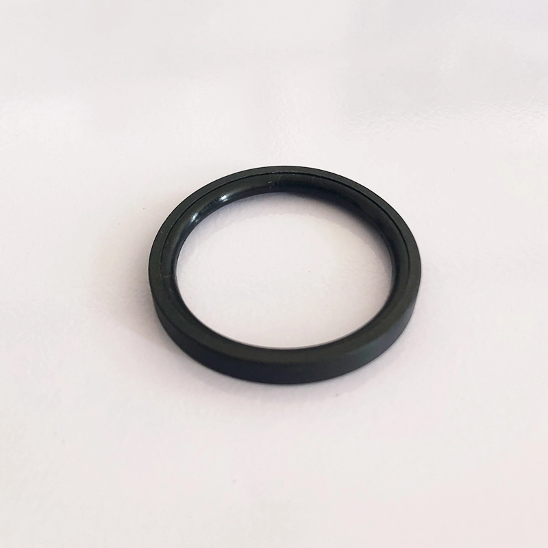 Hydraulic Seals For Piston Holes
