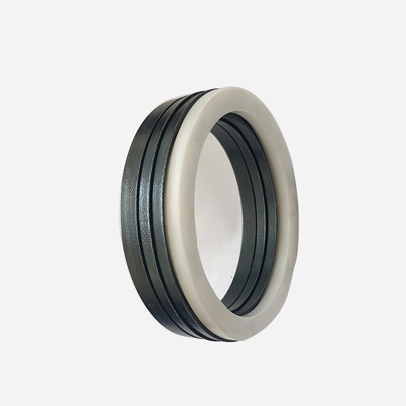 Hydraulic Seals For Piston Holes