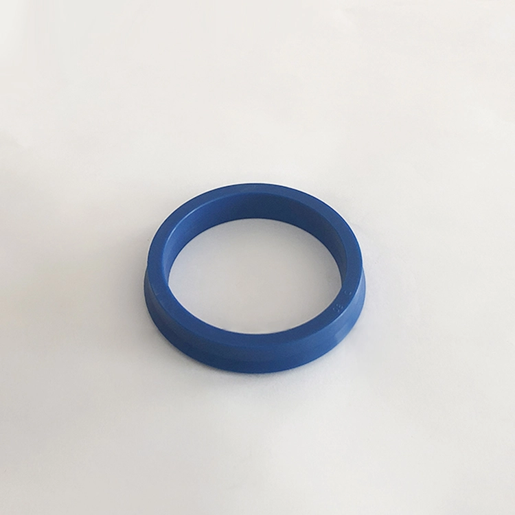 Hydraulic Seals For Piston Holes