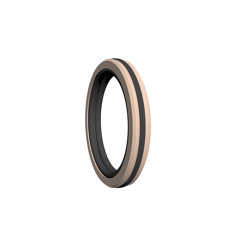 Hydraulic Seals For Piston Holes