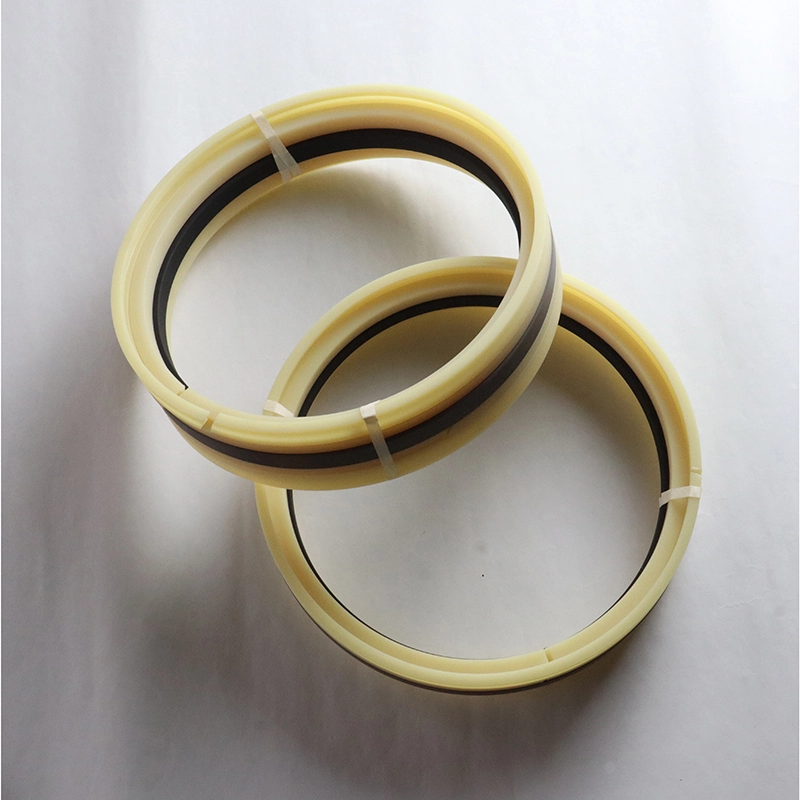 Hydraulic Seals For Piston Holes