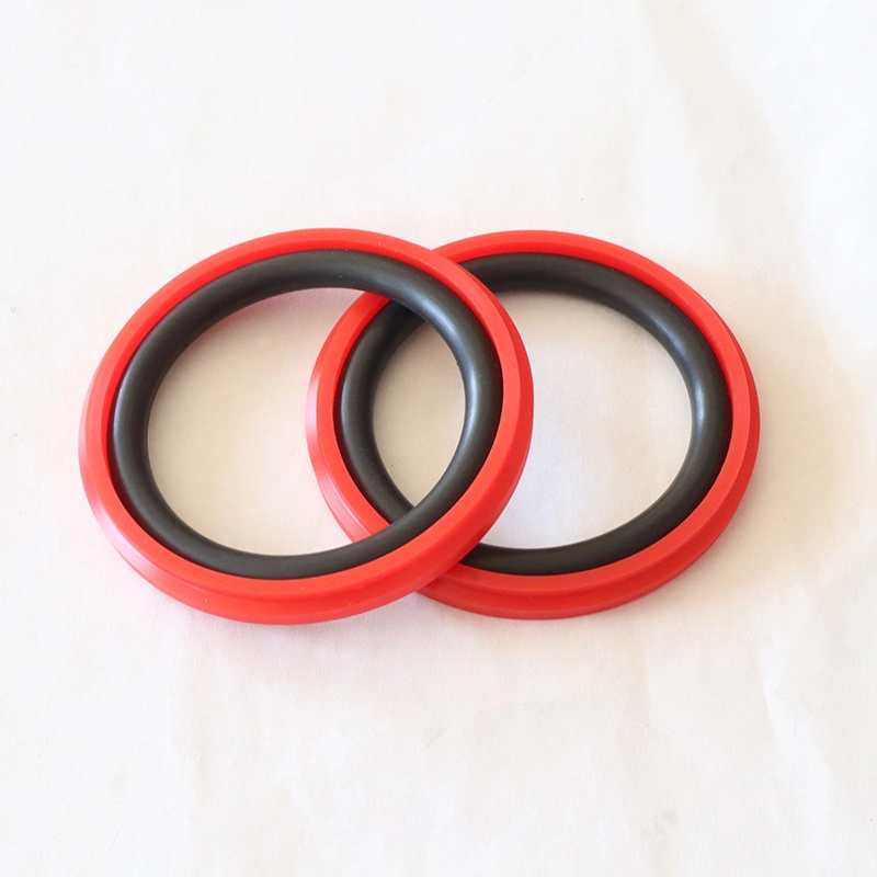 Hydraulic Seals For Piston Holes