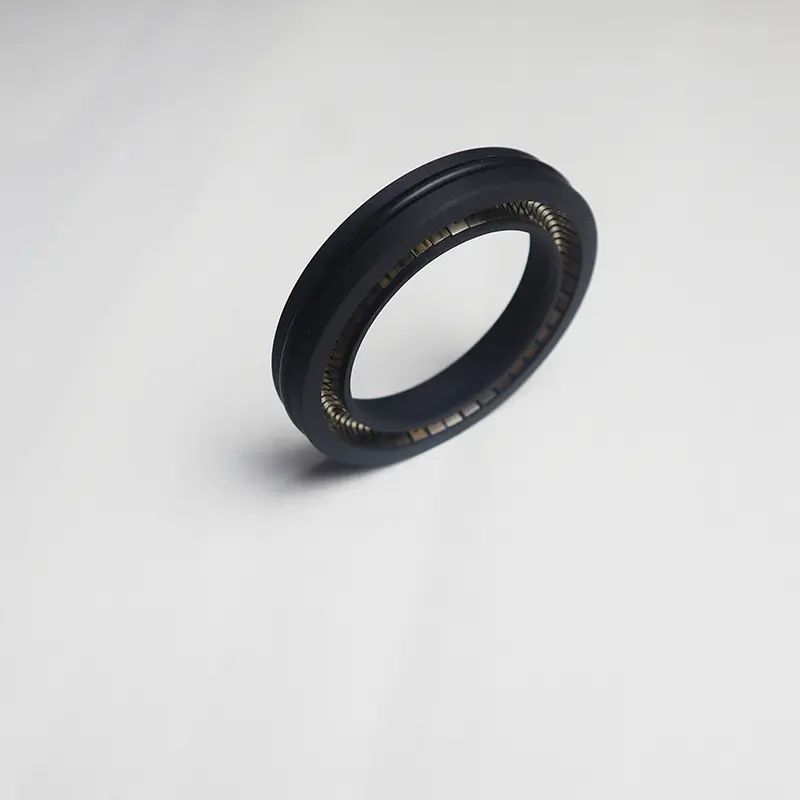 Spring Energized Seal For Rotating Shaft