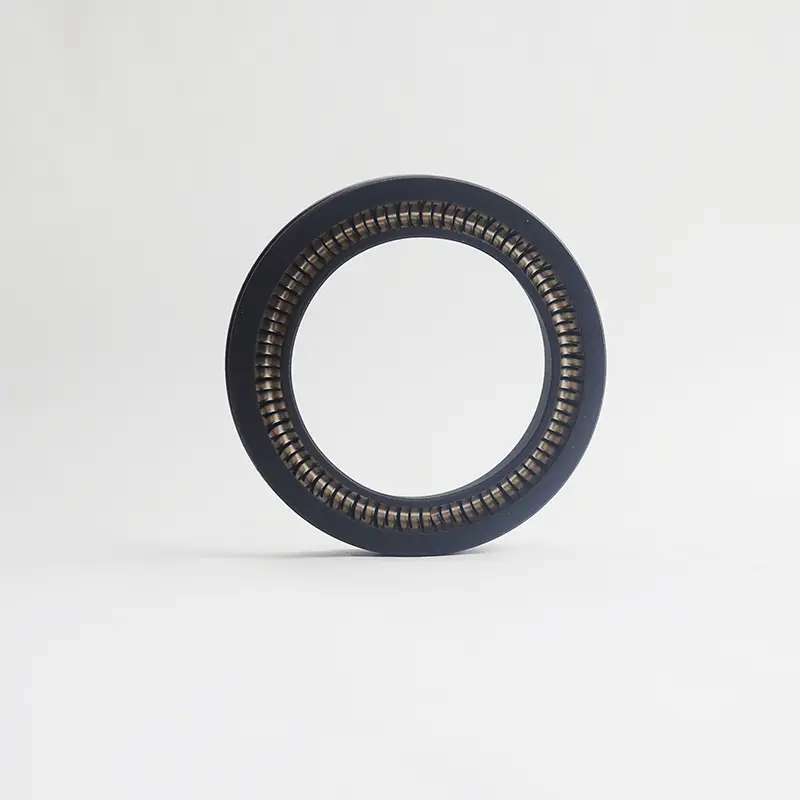Spring Energized Seal For Rotating Shaft