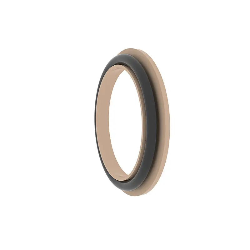 Spring Energized Seal For Rotating Shaft