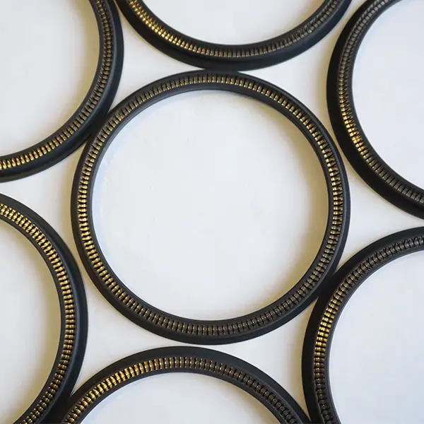 Rotary Spring Energized Seals